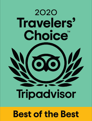Selo Travellers Choice 2020